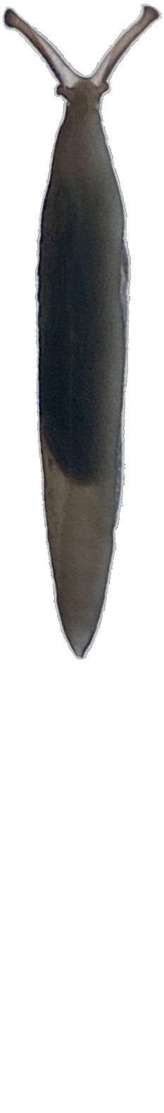 Cursor Hand